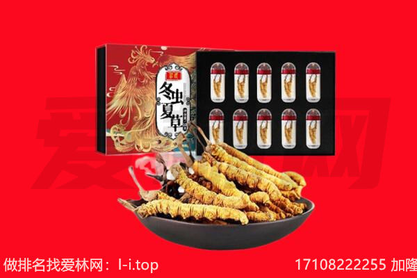 濮阳台前县回收虫草.jpg